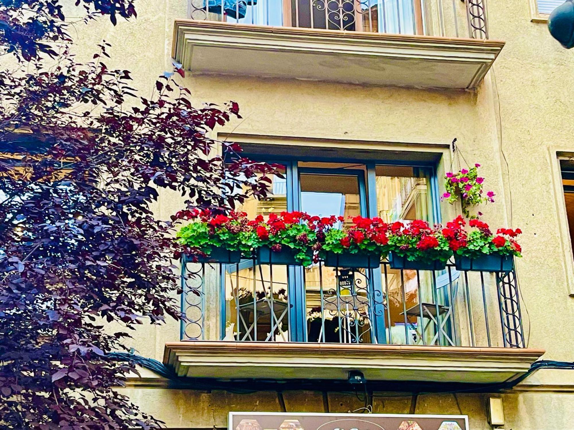 Apartmán Cal Querol 1 - Centre Puigcerdà Exteriér fotografie